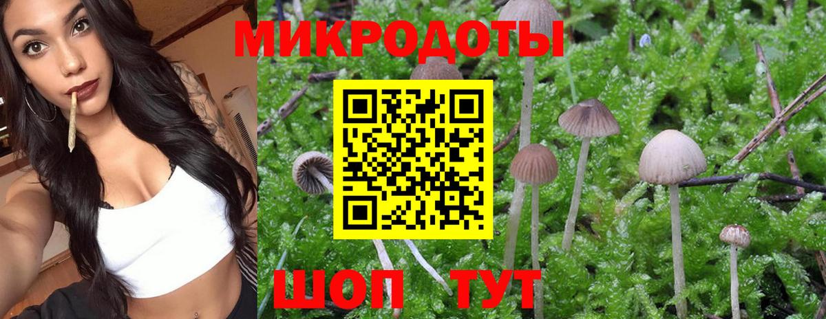 Галлюциногенные грибы Magic Shrooms Курчалой