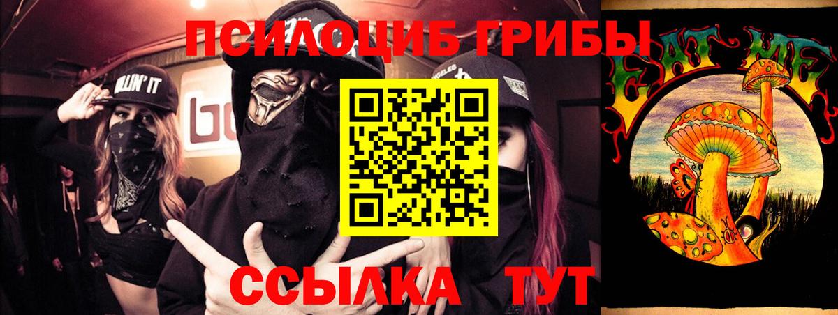 Курчалой  Галлюциногенные грибы прущие грибы  что такое   Вход с VPN 